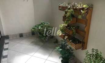 Imagem 4: São Paulo - Apartamento Padrão - Vila Clementino