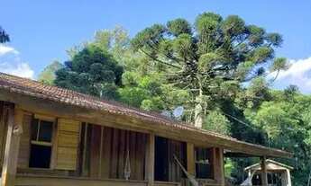 Imagem: Chácara entre Caxias do Sul e Flores da