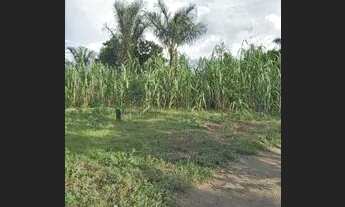 Imagem 4: Chácara top, a 500 metros do rio