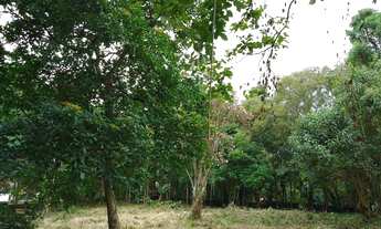 Imagem 4: Terreno para Venda em Embu das Artes, Jardim Colibri