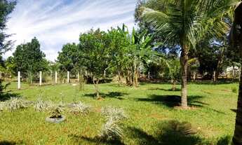 Imagem 4: Fazenda/Sítio/Chácara para venda tem 208 metros quadrados com 3 quartos