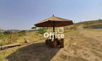 Imagem 7: Chácara com 4 dormitórios à venda, 7000 m² por R$ 1.000.000,00 - Jardim Promissão - Anápol