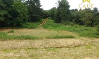 Imagem 2: Terreno no Querência