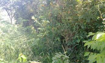 Imagem: Vende-se lote. Bairro santinho 29000.oo