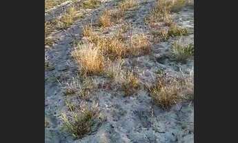 Imagem 2: Vende-se terreno na praia