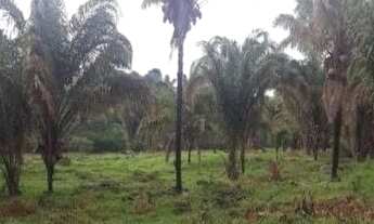 Imagem: Fazenda à Venda, 5.593ha² Por R$ 11.000.000