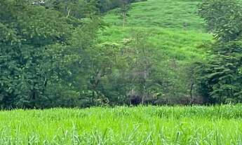 Imagem 6: Terreno com Área Verde em Local Tranquilo