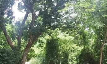 Imagem 5: Área Perimetral Norte fundo Shopping Passeio das Águas