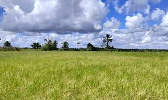 Imagem 2: Vendo maravilhoso sítio em jaguaripe