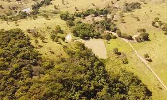 Imagem 6: Chácara 7.97 alqueires (38,57 hectares) Cromínia - GO