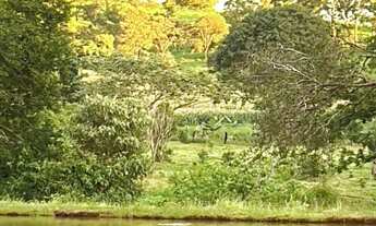 Imagem 7: Fazenda de 16.5 alq a 16km de Pirenópolis GO. 5.500.000