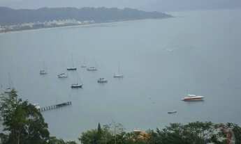 Imagem 3: Terreno de 23725m² no bairro Jurerê