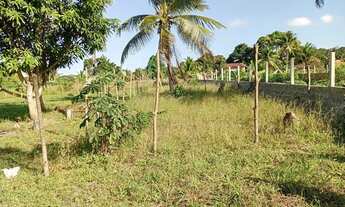 Imagem 2: Terreno a venda Terreno / lote com venda por R$13.000