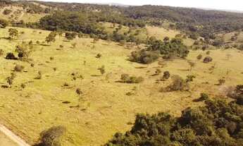 Imagem 7: Chácara 7.97 alqueires (38,57 hectares) Cromínia - GO