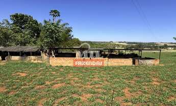 Imagem 6: Excelente Chácara 3 alqueires ( 14.52 hectares ) Bela Vista de Goiás