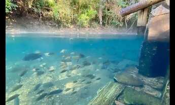 Imagem 5: Aguas da Serra Rio Quente- férias janeiro disponível