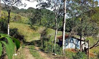 Imagem 3: Fazenda de Pinus à venda em Adrianópolis/PR 200 hectares