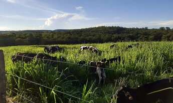 Imagem: FAZENDA RANCHARIA BRASÍLIA DE MINAS