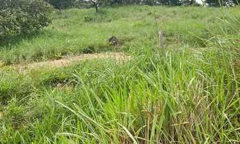 Imagem 6: Fazenda à Venda em Iporá GO | 107 Alqueires