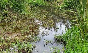 Imagem 3: Vendo ou troco ( Meio alq em Bela vista