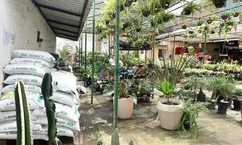 Imagem 3: Realengo Galpão / depósito com 5 vagas na garagem