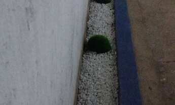 Imagem 3: Espaço de festa/ chácara familiar