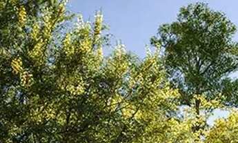 Imagem: Oportunidade de Apartamento na Zona Leste