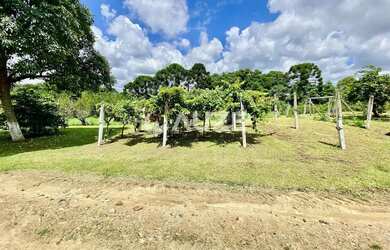 Imagem 7: Chácara à Venda com 3 Casas Construídas e Salão de Eventos -com 60.545 m² Total em São Jos