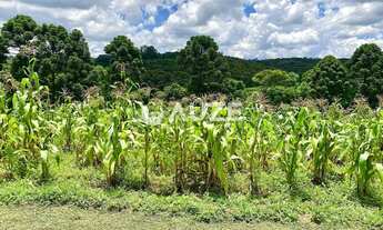 Imagem 5: Chácara à Venda com 3 Casas Construídas e Salão de Eventos -com 60.545 m² Total em São Jos