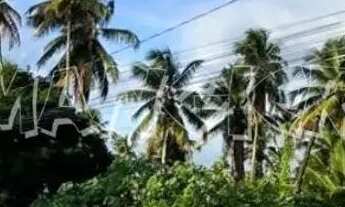 Imagem: Terreno para aluguel com 6.000m² - Barra