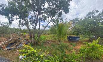 Imagem 6: Chácara na região de lagoinha