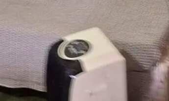 Imagem 2: Chacara a venda em Planaltina de Goiás