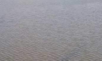 Imagem 2: Linda fazenda de 100t com uma belíssima casa a 28 km de Feita