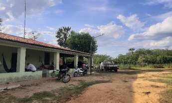 Imagem 3: Vendo fazenda Fazenda / sítio com venda por R$340.000