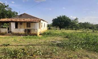 Imagem 2: Vendo fazenda Fazenda / sítio com venda por R$340.000