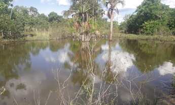 Imagem 3: 147 Alqs Ótima Em Logística Terra e Água Região 70Km Goianorte TO