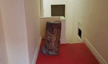 Imagem 2: Alugo Casa Comercial no Centro perto do Teatro Amazonas