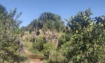 Imagem 3: Fazenda no municipio de Lizarda R$ 13 mil alqueire no Tocantins para cria e engorda de gad