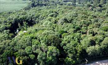 Imagem 6: Terreno Rural para Venda em Campo Largo, Colônia Balbino Cunha