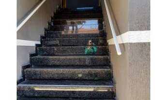 Imagem 2: Apartamento - Venda Parque Cruzeiro do Sul