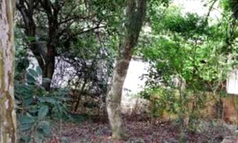 Imagem 7: Porto Alegre - Sítio - Ponta Grossa