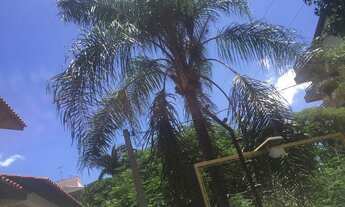 Imagem 7: Porto Alegre - Casa Comercial - Jardim Lindóia