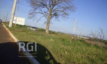 Imagem: Porto Alegre - Terreno Padrão - Protásio