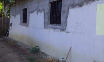 Imagem: Iranduba- Manaus - AM