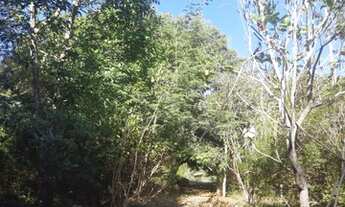 Imagem 6: VENDE-SE CHÁCARA 50ha - 7KM DE ALTO PARAÍSO DE GOIÁS SENTIDO MOINHO - ESCRITURA E REGISTRO