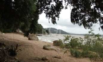 Imagem 5: Porto Alegre - Sítio - Ponta Grossa