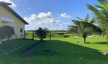 Imagem 6: Fazenda/Sítio/Chácara para venda possui 4000 metros quadrados com 4 quartos