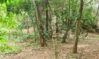 Imagem 2: Venha compra sua chácara em Serra Azul