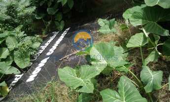 Imagem 7: Terreno Jardim Casablanca 125m²