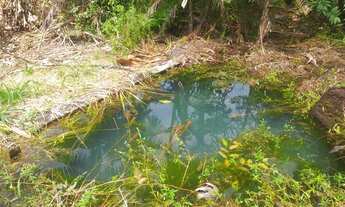 Imagem 2: Excelente chácara com casa e um lago a 18 Km de Parauapebas